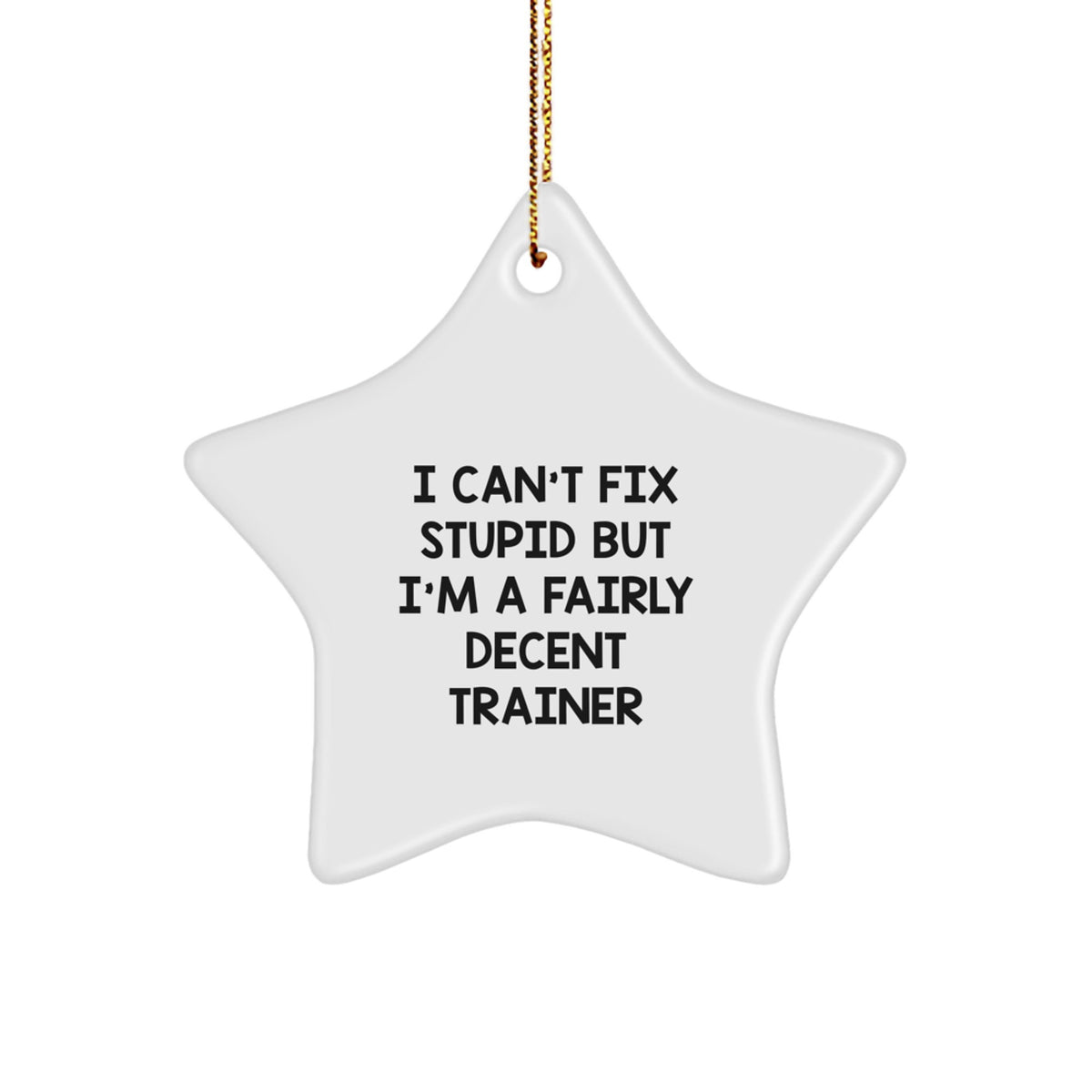 Funny Trainer Gifts from Friends - I Can't Fix Stupid But I'm A Fairly Decent Trainer Star Ornament for Christmas - Image 1