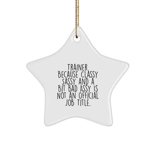 Trainer Gifts from Friends and Family - Funny Star Ornament, Trainer. Because Classy Sassy And A Bit Fearlessy Is Not An Official Job Title., White Star Shaped, Perfect for Christmas - Image 1