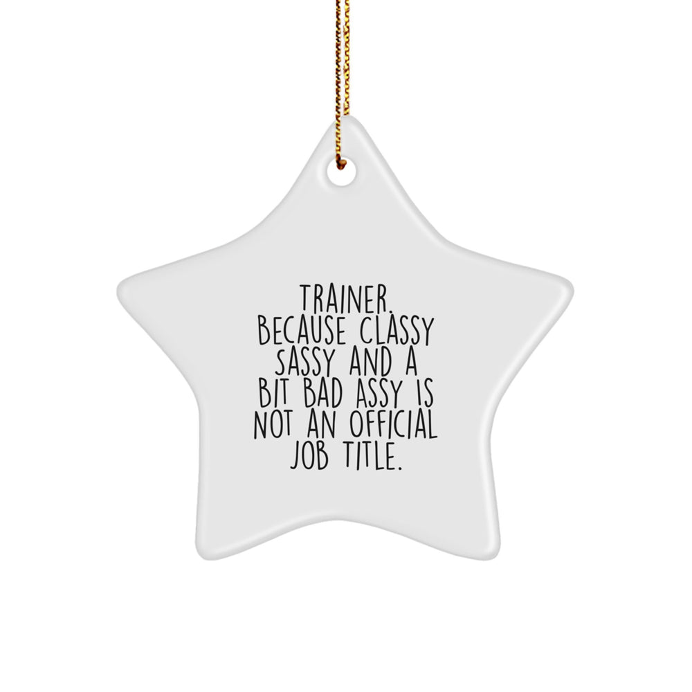 Trainer Gifts from Friends and Family - Funny Star Ornament, Trainer. Because Classy Sassy And A Bit Fearlessy Is Not An Official Job Title., White Star Shaped, Perfect for Christmas - Image 1