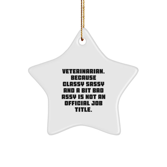 Veterinarian Star Ornament, Funny Quote Gifts from Men to Women for Christmas - Image 1