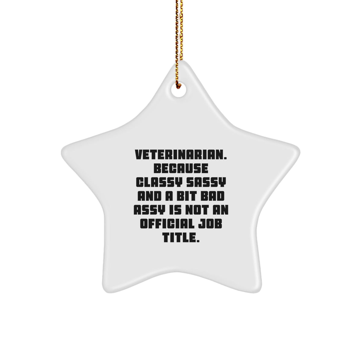 Veterinarian Star Ornament, Funny Quote Gifts from Men to Women for Christmas - Image 1