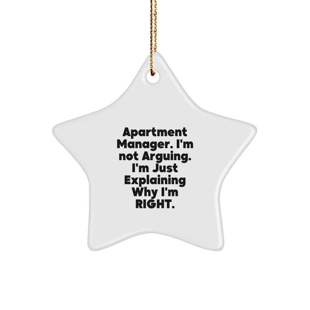 Funny Christmas Unique Gifts for Apartment Manager, 'I'm Not Arguing, I'm Just Explaining Why I'm Right' Star Ornament from Friends, Coworkers, Family - Image 1