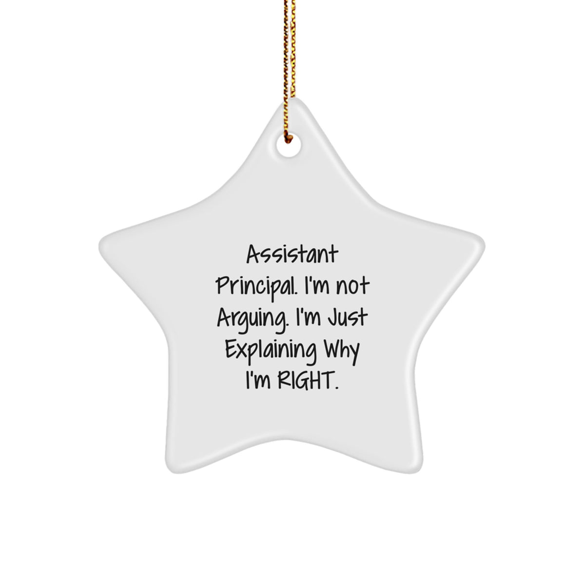 Funny Assistant Principal Gifts, Christmas Star Ornament, 'I'm Not Arguing. I'm Just Explaining Why I'm Right.' Gifts from Friends to Assistant Principal - Image 1
