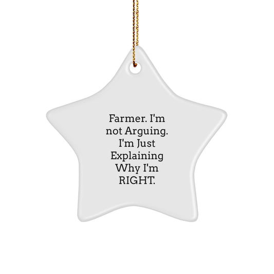 Funny Farmer Gifts from Friends for Men Star Ornament, Explaining Why I'm Right Christmas Unique Decorations - Image 1