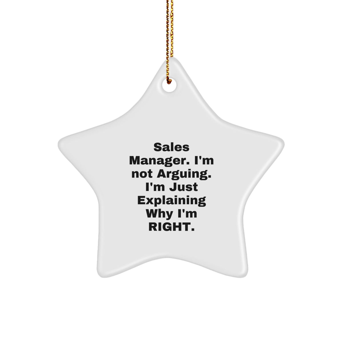 Funny Sales Manager Gifts from Men to Friends, 'I'm Not Arguing. I'm Just Explaining Why I'm Right.' Star Ornament for Christmas - Image 1