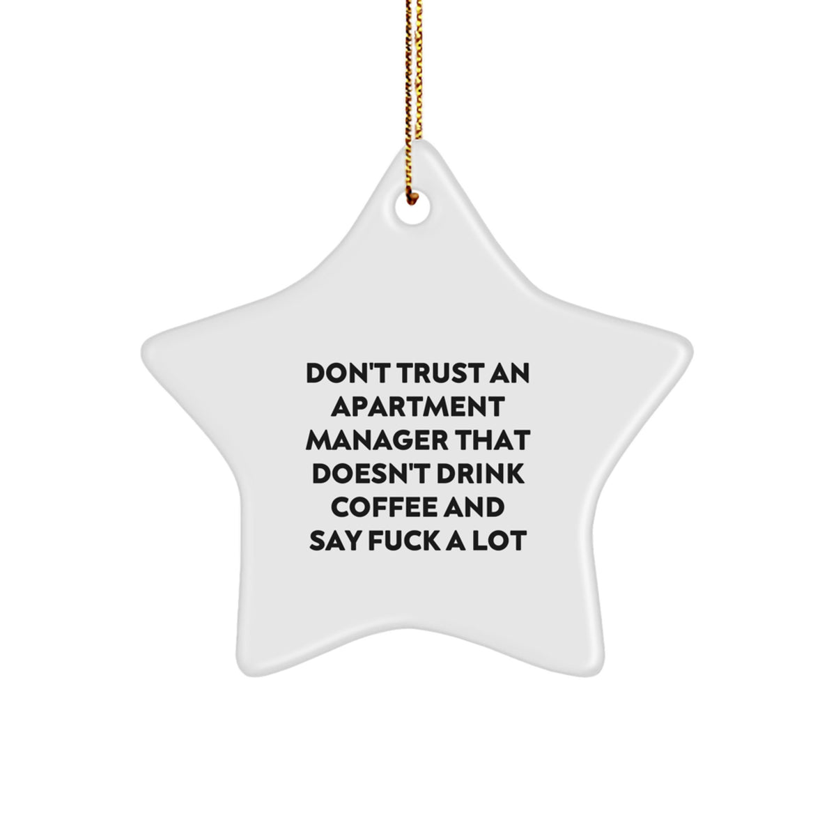 Funny Gifts from Friends to Apartment Managers - Holiday Star Ornament, 'Don't Trust An Apartment Manager...' - Image 1