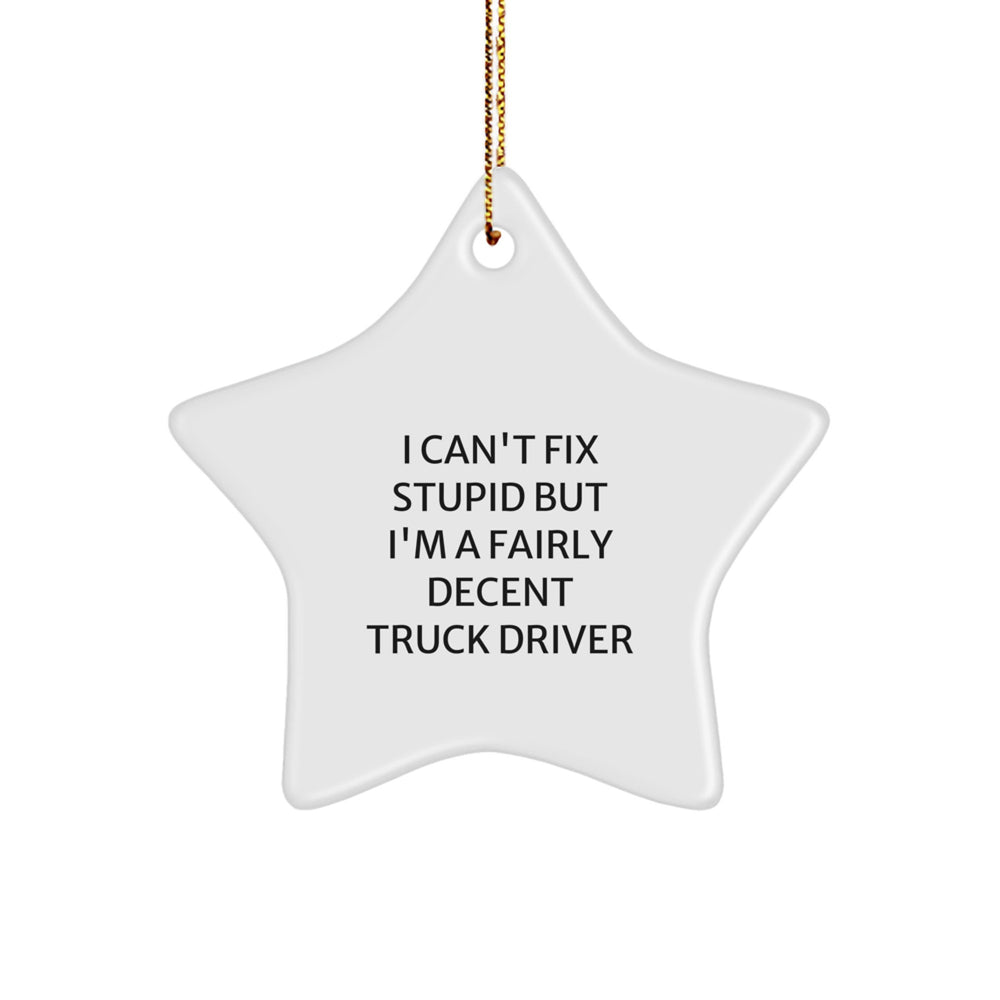 Fun Truck Driver Gifts from Friends - Inspirational Star Ornament for Christmas, Unique Present for Him, Her, or Coworkers, I Can't Fix Stupid But I'm A Fairly Decent Truck Driver Quote - Image 1