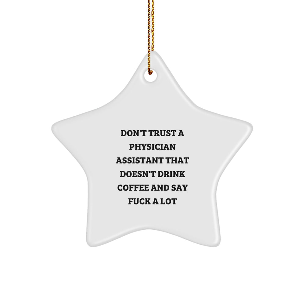 Funny Physician Assistant Gifts, Star Ornament Quote, Christmas Decor, Gifts from Friends for Men or Women, Physician Assistant Humor, Star Ornament Decor - Image 1