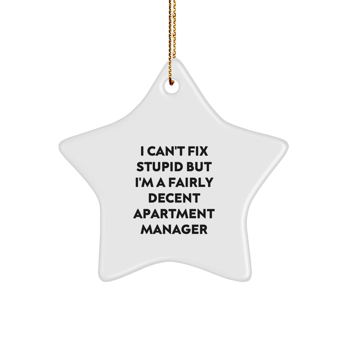 Funny Apartment Manager Gifts - 'I Can't Fix Stupid But I'm A Fairly Decent' Star Ornament, Christmas Decorations for Her, Him, Friends, Coworkers, Family - Image 1