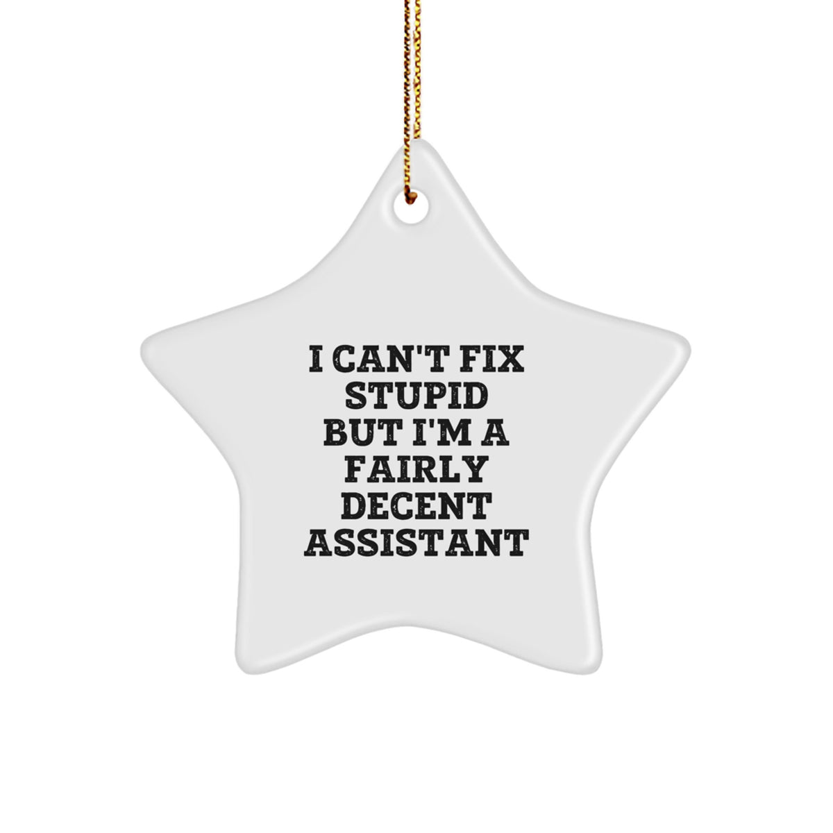 Funny Assistant Gifts for Christmas - 'I Can't Fix Stupid But I'm A Fairly Decent Assistant' Star Ornament, Gifts from Friends to Coworkers - Image 1