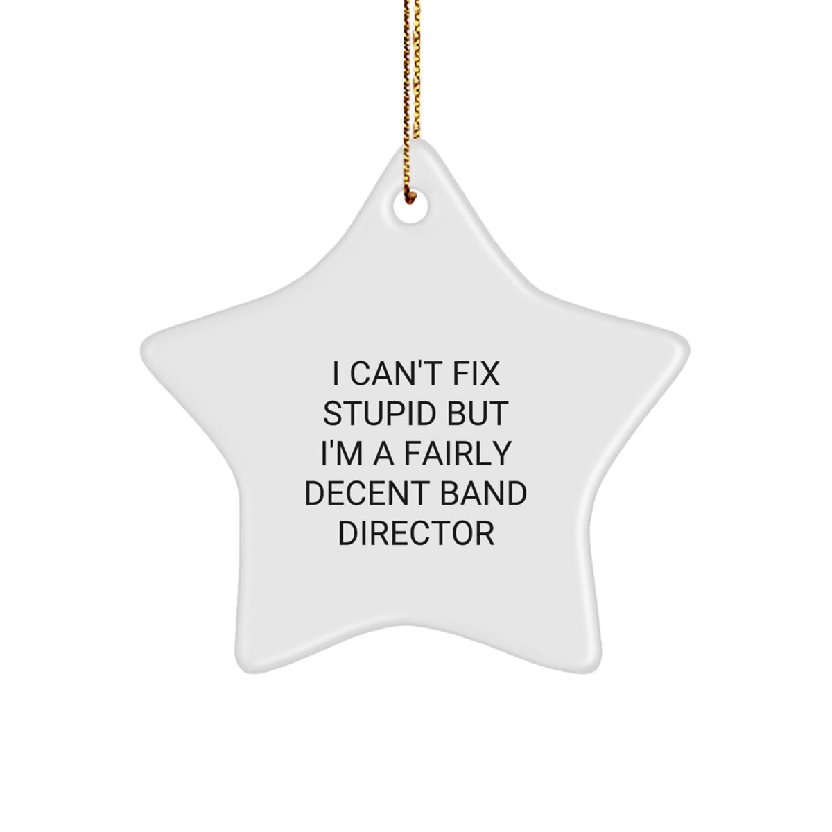 Funny Band Director Star Ornament Gifts from Friends and Family for Men and Women Christmas Unique Decorations, 'I Can't Fix Stupid but I'm A Fairly Decent Band Director' - Image 1