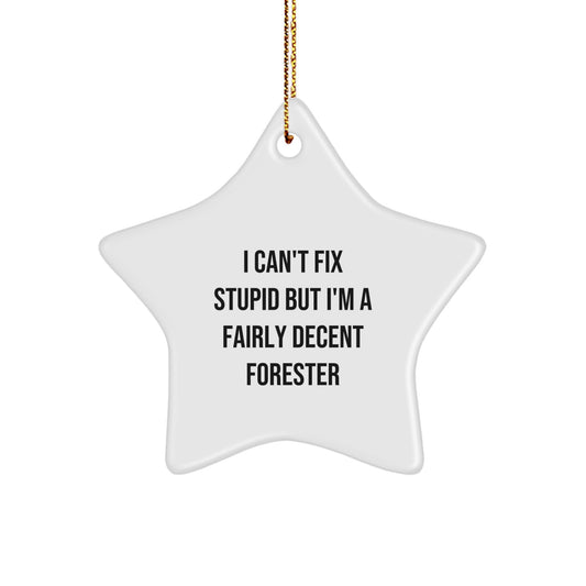 Funny Forester Gifts from Men for Christmas Unique Star Ornament with I Can't Fix Stupid Humor - Image 1