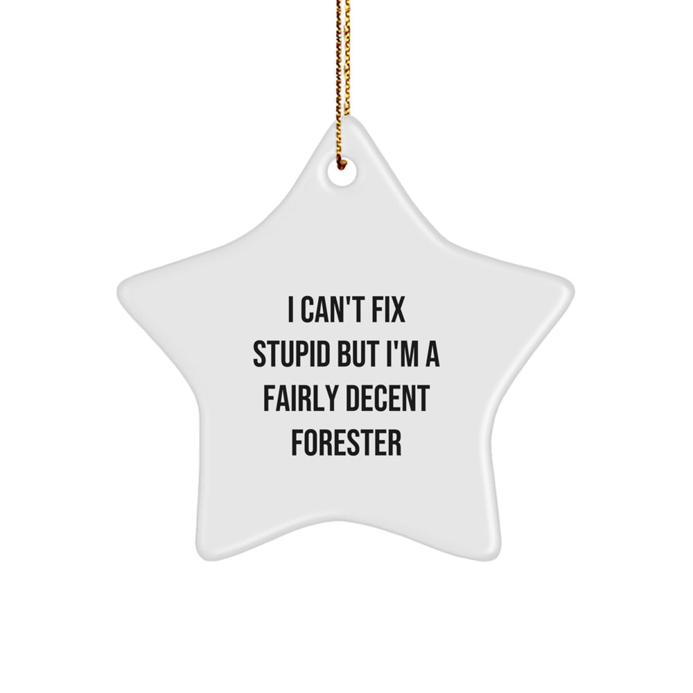 Funny Forester Gifts from Men for Christmas Unique Star Ornament with I Can't Fix Stupid Humor - Image 1