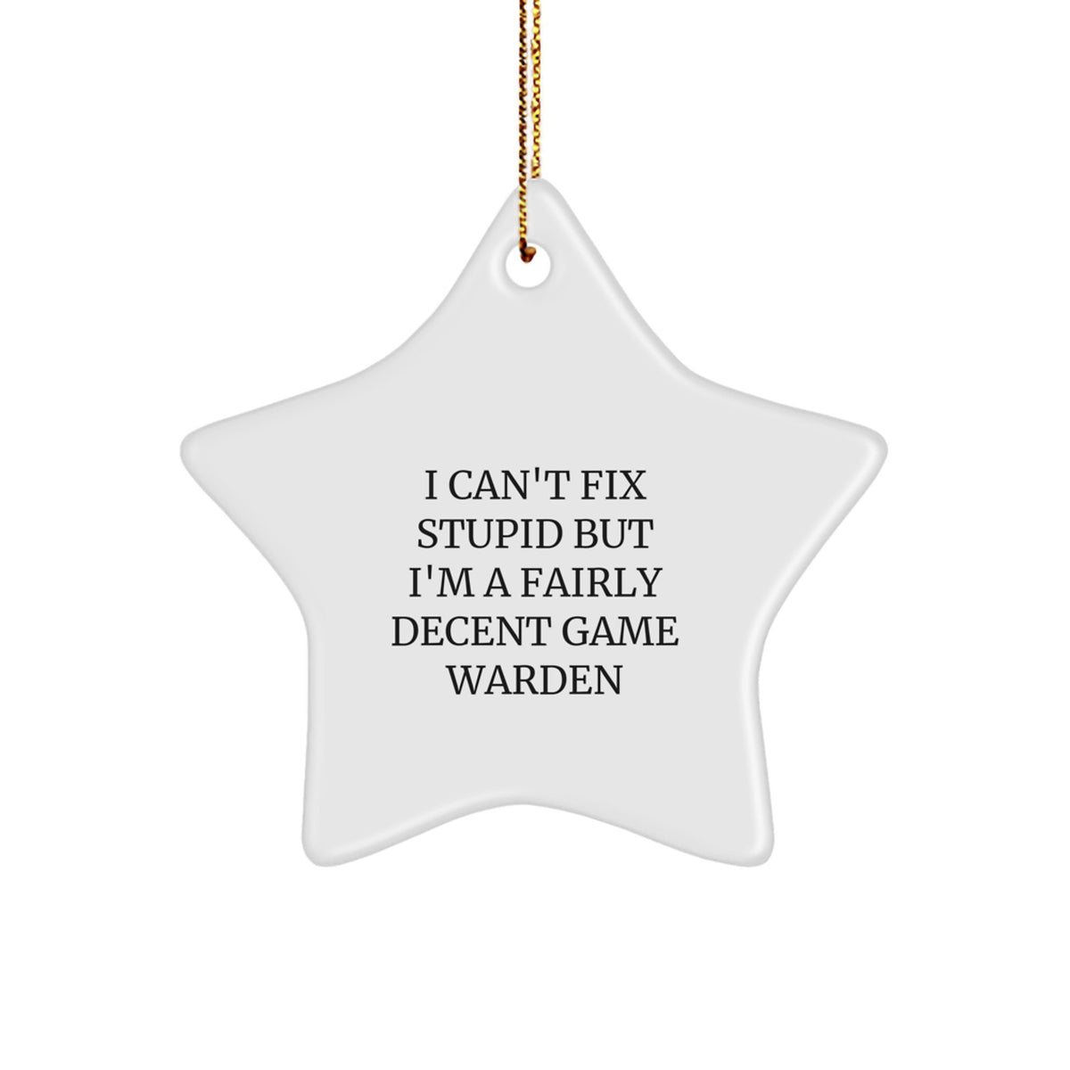 Funny Game Warden Star Ornament, Gifts from Men, for Christmas Unique Gifts, 'I Can't Fix Stupid But I'm A Fairly Decent Game Warden', Star Shaped Gifts for Game Wardens, Family, Friends - Image 1