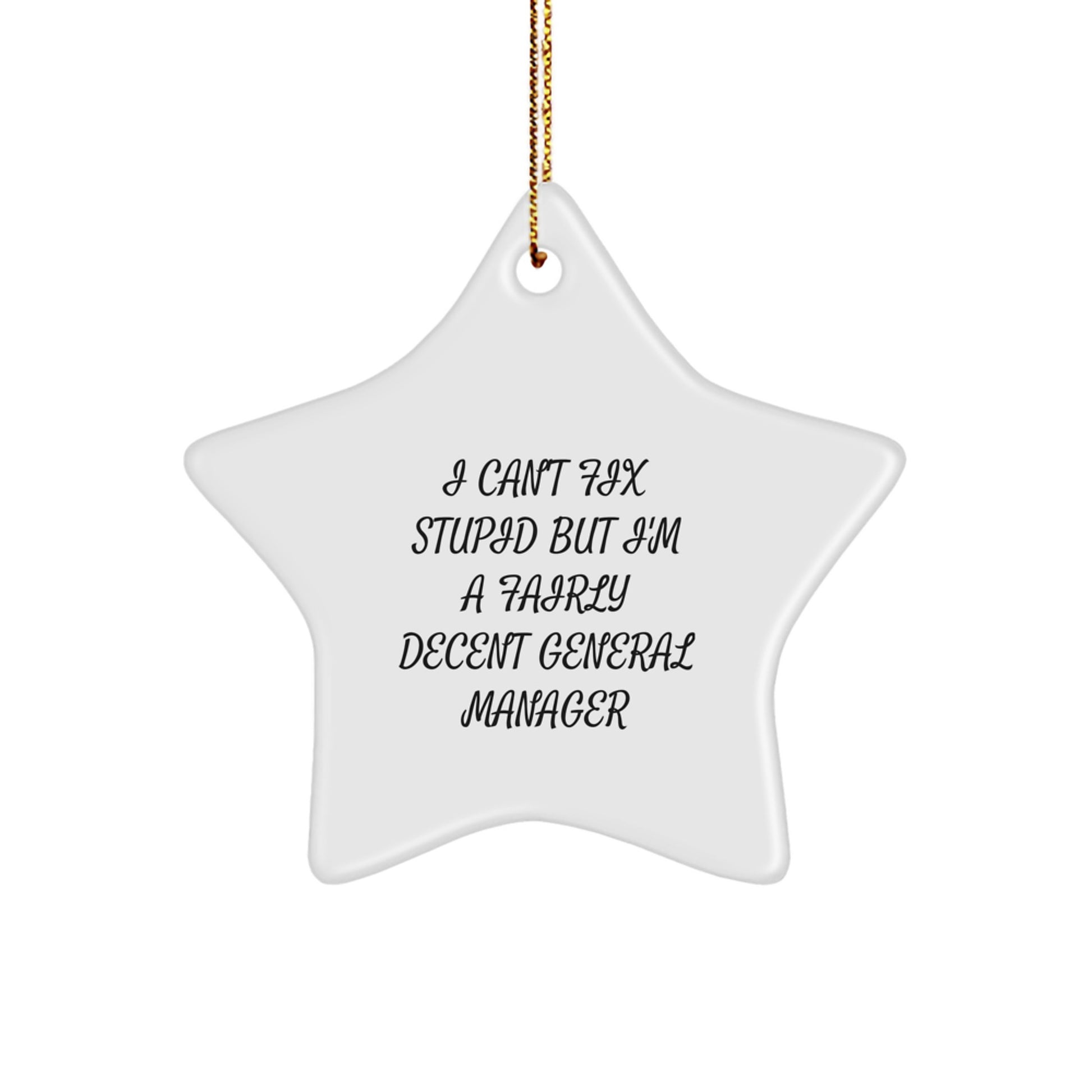 Funny General Manager Gifts from Men to Friends - 'I Can't Fix Stupid' Star Ornament for Christmas - Image 1