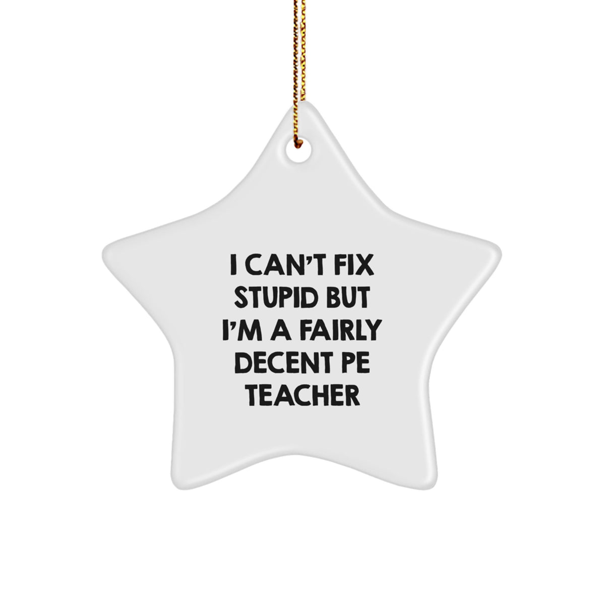 Funny PE Teacher Gifts from Friends for Christmas - I Can't Fix Stupid But I'm A Fairly Decent PE Teacher Star Ornament - Image 1