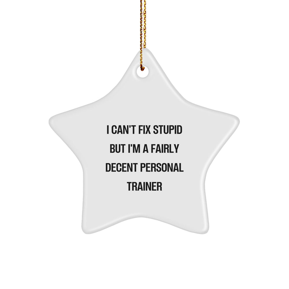 Funny Personal Trainer Gift for Christmas - 'I Can't Fix Stupid' Star Ornament, Gifts from Friends to Family, Perfect for Men and Women - Image 1