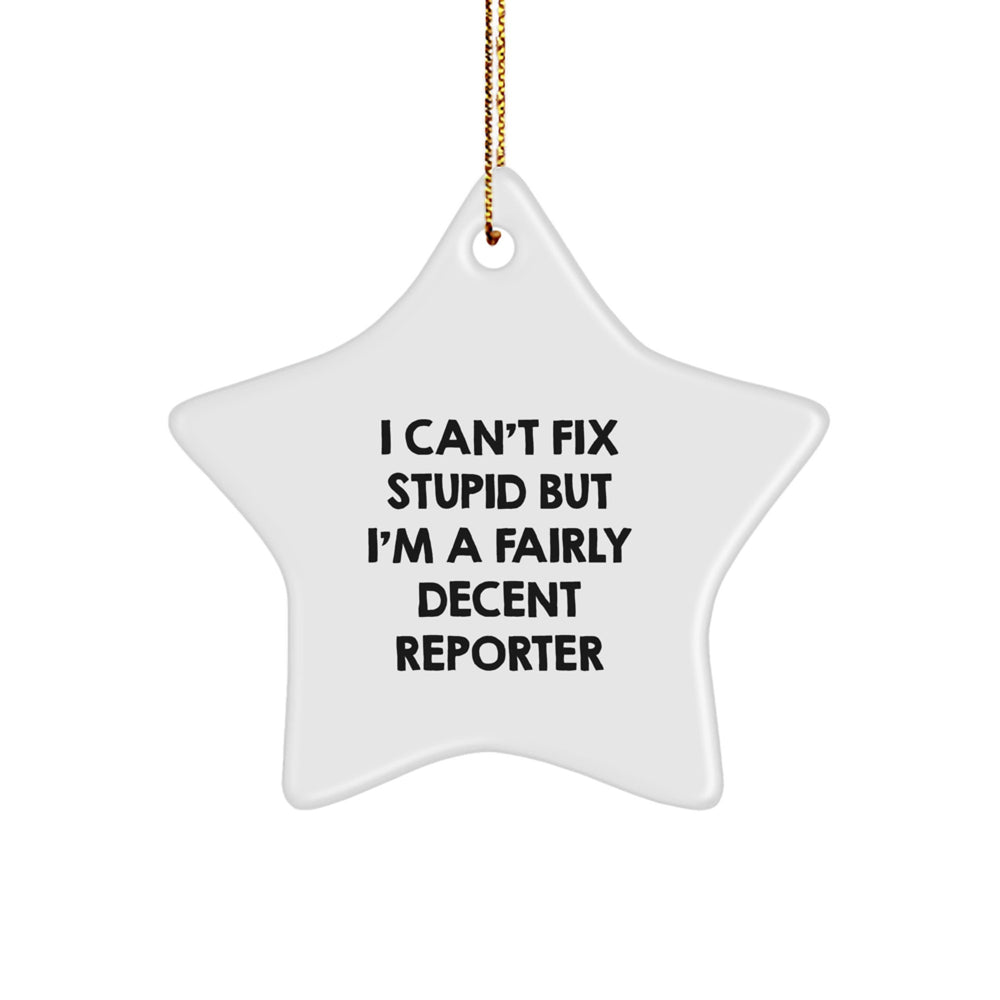 Funny Reporter Gifts from Men to Family - 'I Can't Fix Stupid But I'm A Fairly Decent Reporter' Star Ornament for Christmas - Image 1
