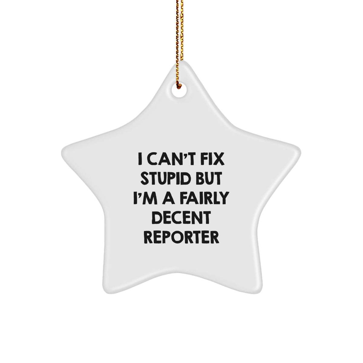 Funny Reporter Gifts from Men to Family - 'I Can't Fix Stupid But I'm A Fairly Decent Reporter' Star Ornament for Christmas - Image 1