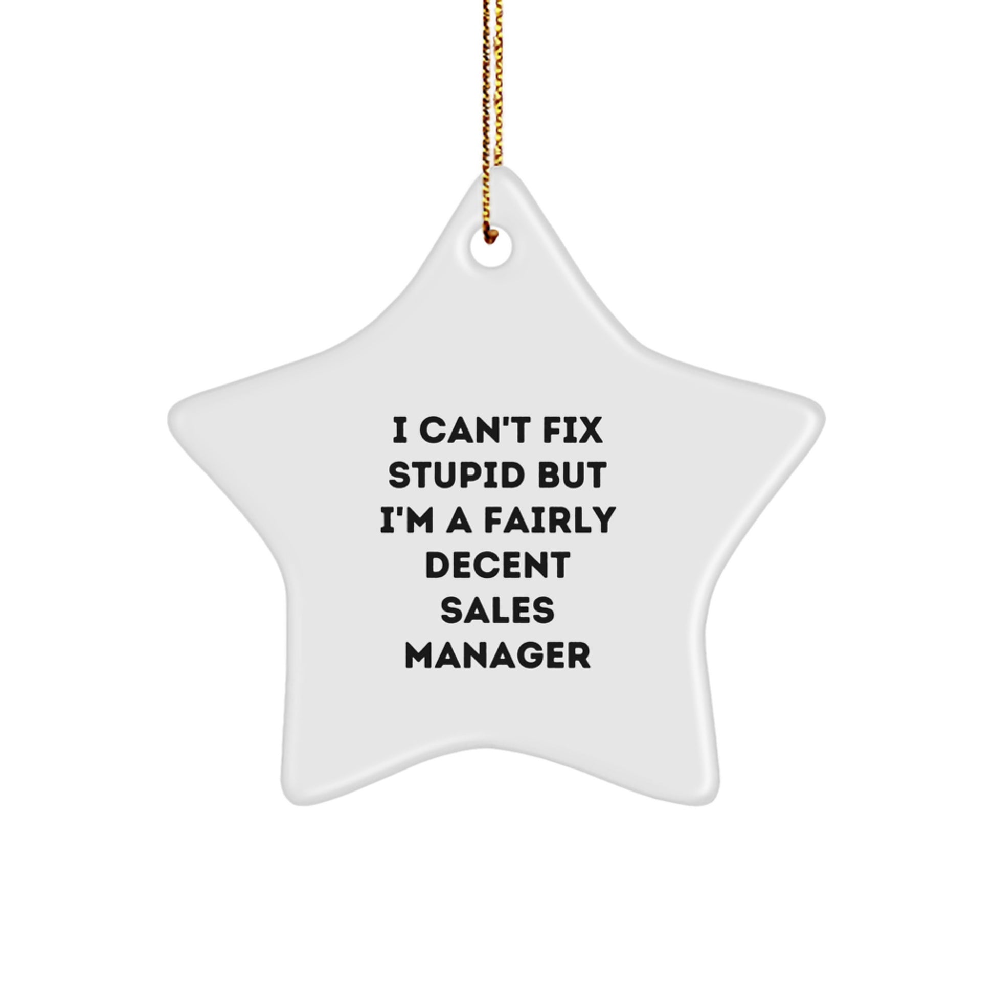Funny Sales Manager Gifts, 'I Can't Fix Stupid' Star Ornament for Christmas, Gifts from Friends or Coworkers to Sales Manager - Image 1