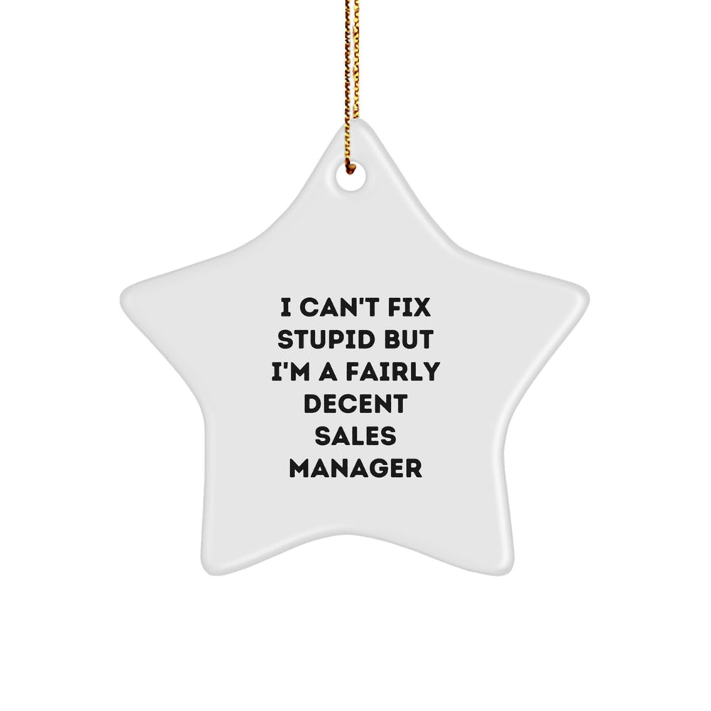 Funny Sales Manager Gifts, 'I Can't Fix Stupid' Star Ornament for Christmas, Gifts from Friends or Coworkers to Sales Manager - Image 1