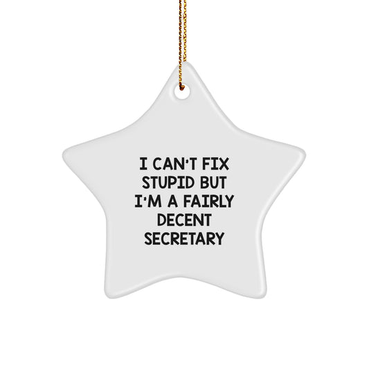 Funny Secretary Gifts from Friends, I Can't Fix Stupid But I'm A Fairly Decent Secretary Star Ornament for Christmas - Image 1