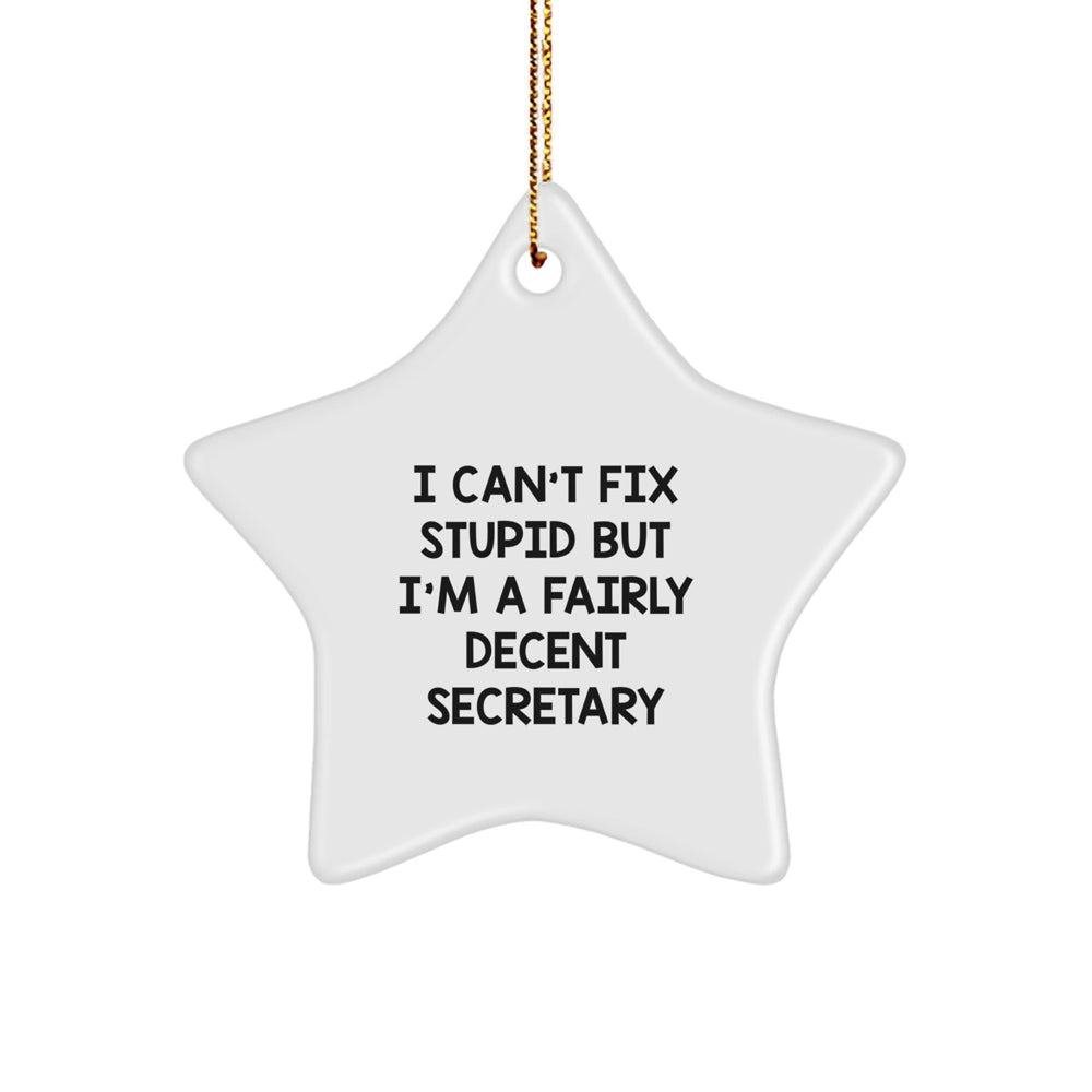 Funny Secretary Gifts from Friends, I Can't Fix Stupid But I'm A Fairly Decent Secretary Star Ornament for Christmas - Image 1