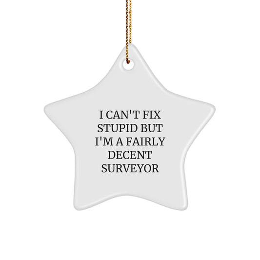 Funny Surveyor Gifts from Friends for Men, I Can't Fix Stupid But I'm A Fairly Decent Surveyor, Christmas Star Ornament - Image 1