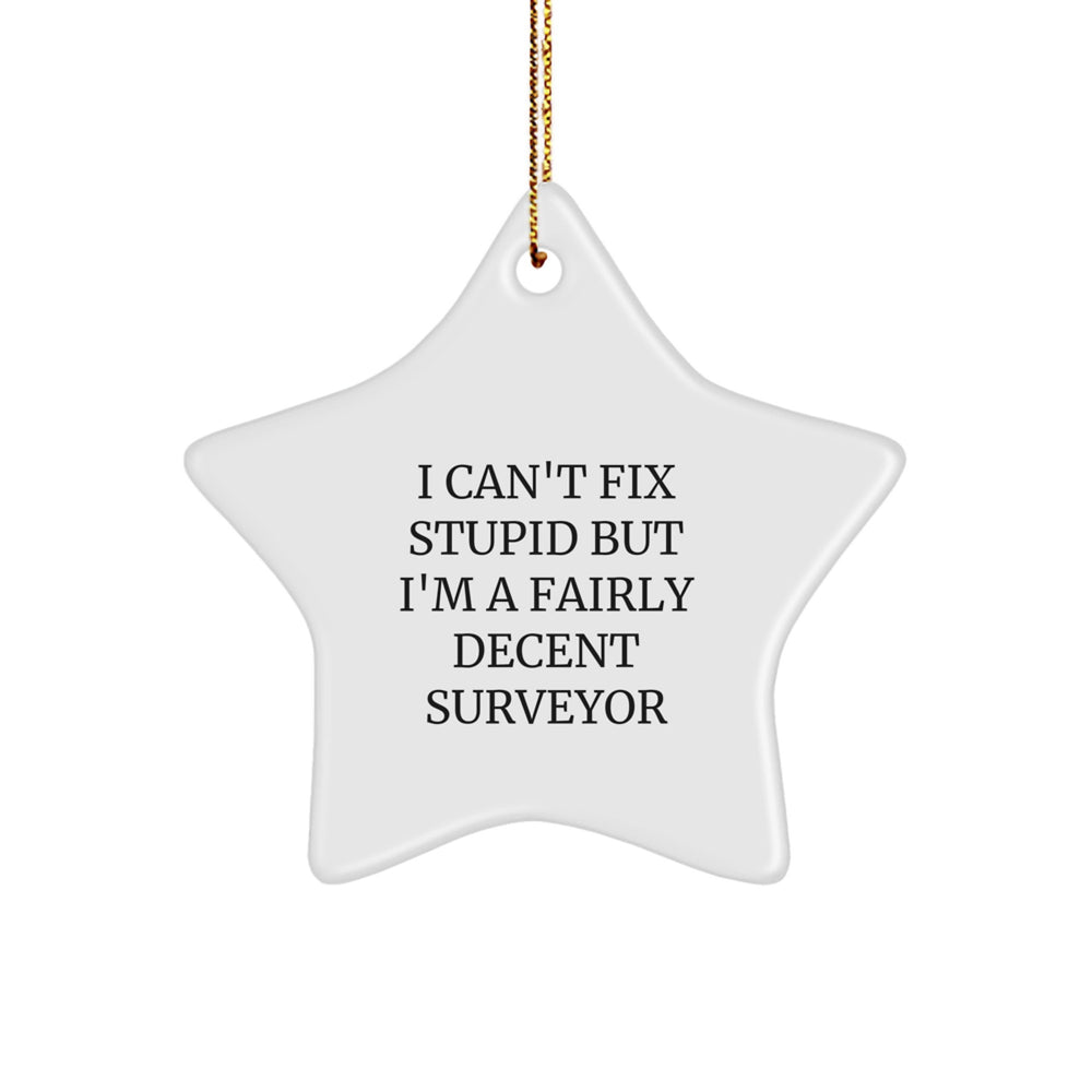 Funny Surveyor Gifts from Friends for Men, I Can't Fix Stupid But I'm A Fairly Decent Surveyor, Christmas Star Ornament - Image 1
