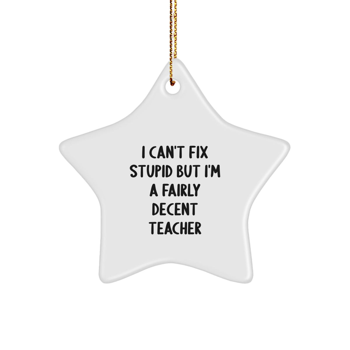 Funny Teacher Gifts: 'I Can't Fix Stupid But I'm A Fairly Decent Teacher' Star Ornament Gifts from Family for Christmas - Image 1