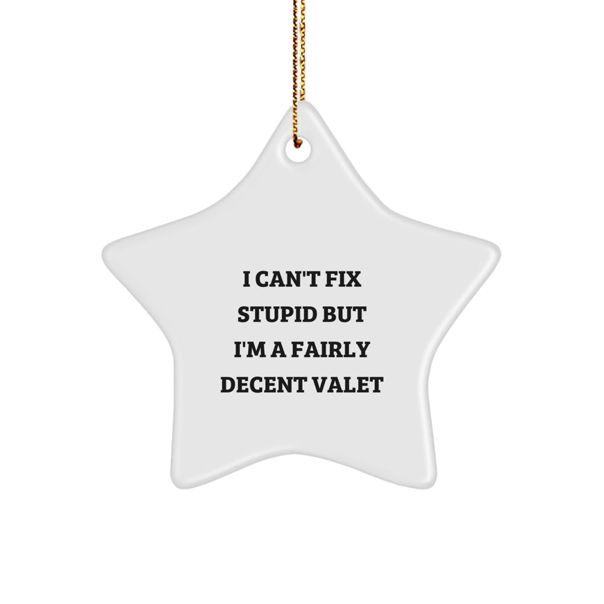 Funny Valet Gifts from Friends and Family - 'I Can't Fix Stupid But I'm A Fairly Decent Valet' Star Ornament for Men or Women, Christmas Unique Gifts - Image 1