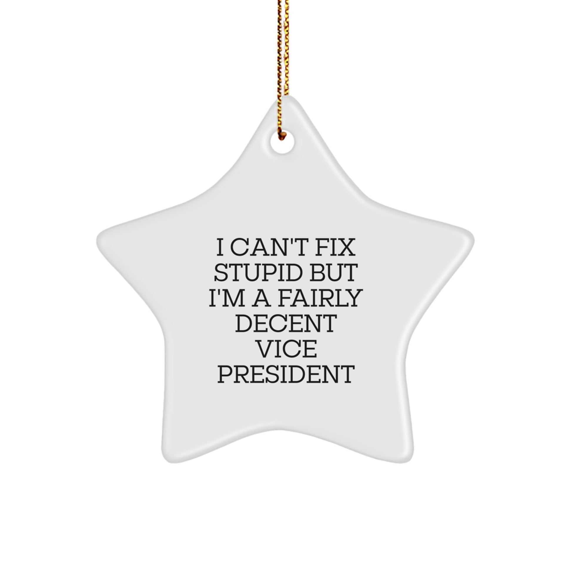 Funny Vice President Gifts, I Can't Fix Stupid But I'm A Fairly Decent VPs, White Star Ornament, Christmas Unique Gifts from Friends to Family - Image 1
