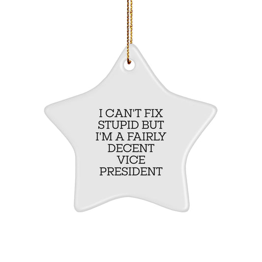 Funny Vice President Gifts, I Can't Fix Stupid But I'm A Fairly Decent VPs, White Star Ornament, Christmas Unique Gifts from Friends to Family - Image 1