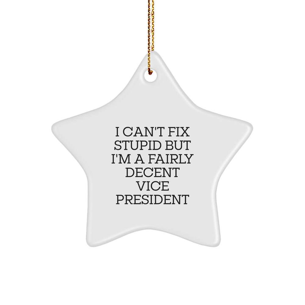Funny Vice President Gifts, I Can't Fix Stupid But I'm A Fairly Decent VPs, White Star Ornament, Christmas Unique Gifts from Friends to Family - Image 1