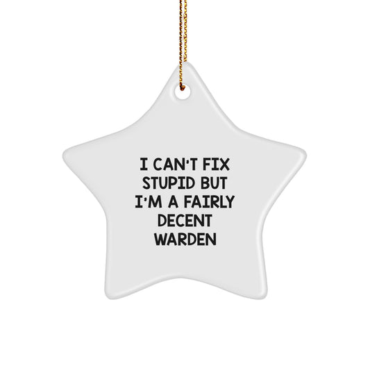 Funny Warden Gifts from Friends for Christmas - I Can't Fix Stupid But I'm A Fairly Decent Warden Star Ornament - Image 1