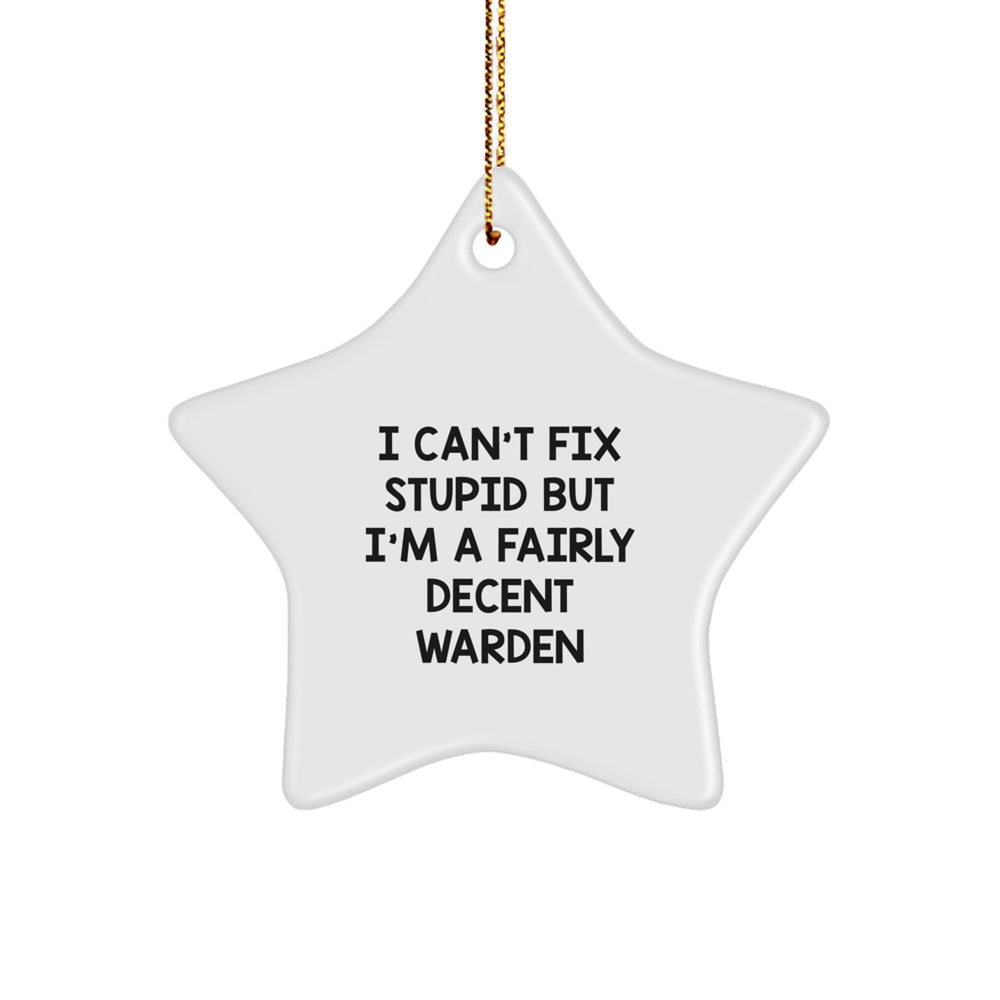 Funny Warden Gifts from Friends for Christmas - I Can't Fix Stupid But I'm A Fairly Decent Warden Star Ornament - Image 1