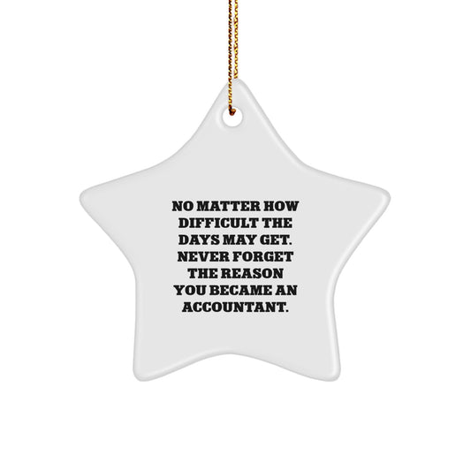 Funny Inspirational Accountant Star Ornament Gifts from Family, Friends, or Coworkers for Accountant Men, Women, or Colleagues on Christmas - Image 1
