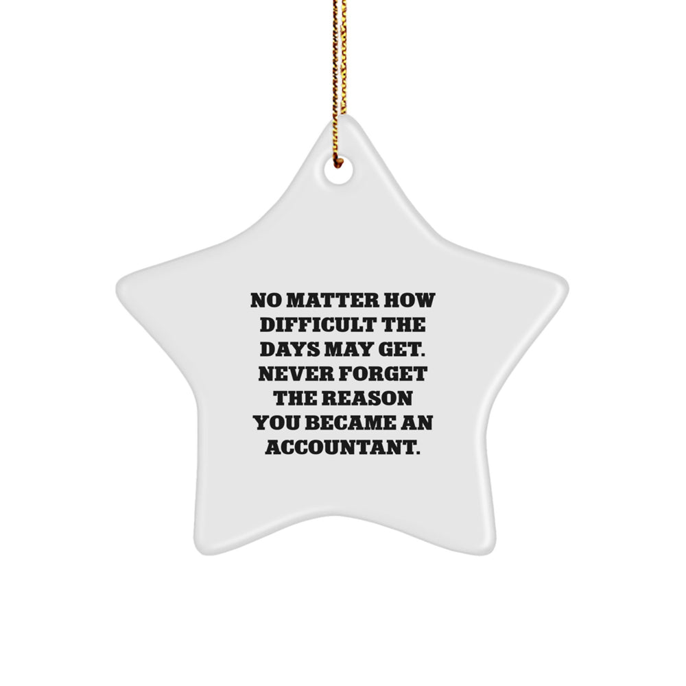 Funny Inspirational Accountant Star Ornament Gifts from Family, Friends, or Coworkers for Accountant Men, Women, or Colleagues on Christmas - Image 1