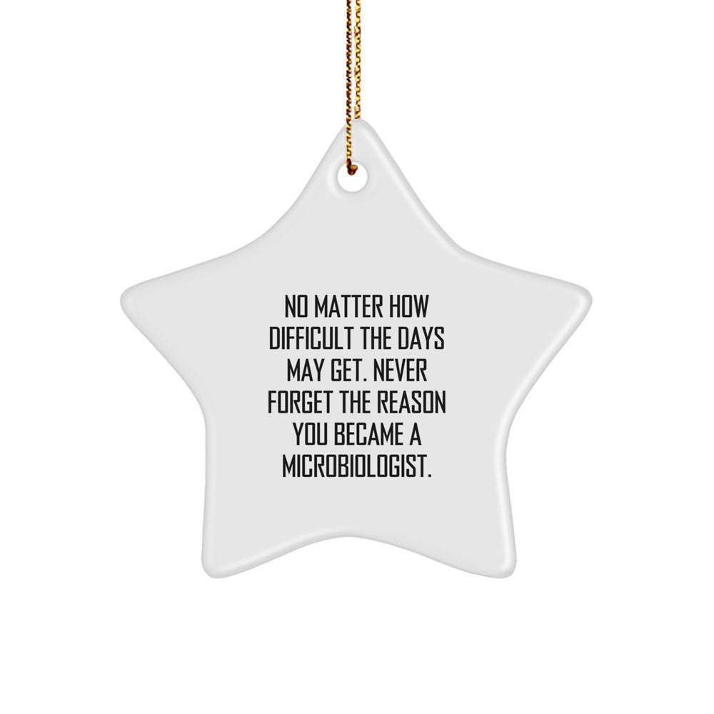Inspirational Microbiologist Gifts from Friends - Funny Star Ornament for Christmas, 'No Matter How Difficult', Gifts for Microbiologist - Image 1