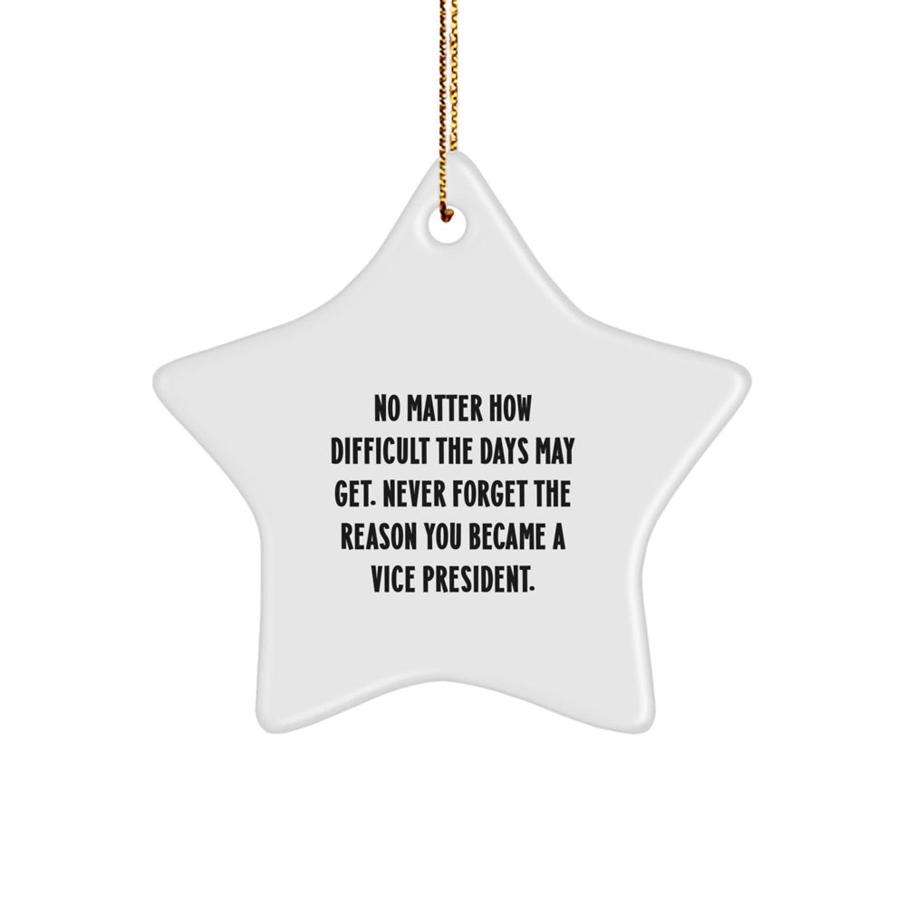 Funny Vice President Christmas Unique Gifts for Men and Women - Inspirational Star Ornament Gifts from Coworkers and Friends 'Never Forget The Reason You Became A Vice President.' - Image 1