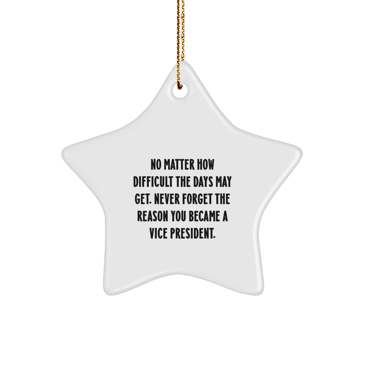 Funny Vice President Christmas Unique Gifts for Men and Women - Inspirational Star Ornament Gifts from Coworkers and Friends 'Never Forget The Reason You Became A Vice President.' - Image 1