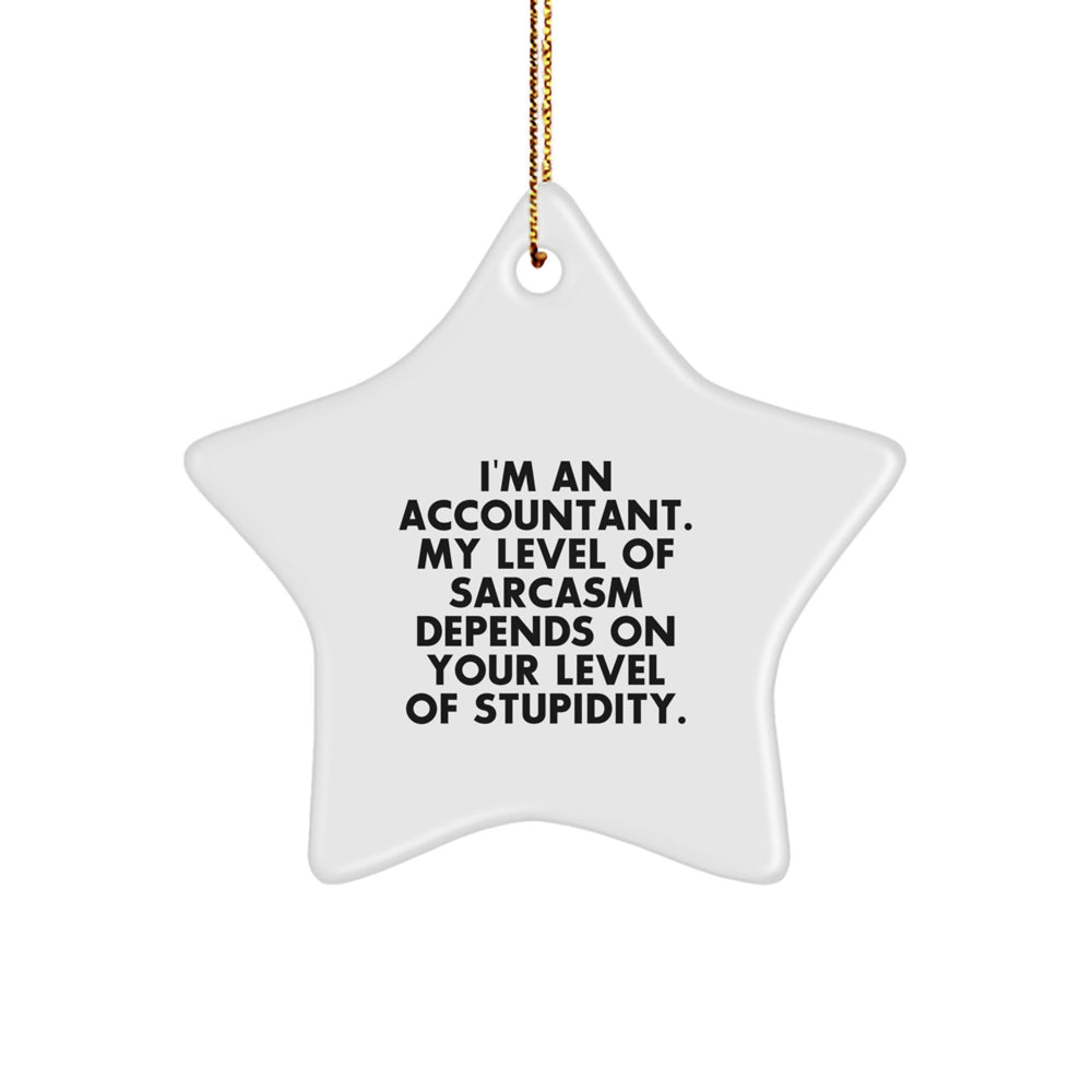 Funny Accountant Gifts, Star Ornament for Accountant Friends, Christmas Unique Gifts from Women, Funny Quotes for Accountants, I'm An Accountant - Image 1