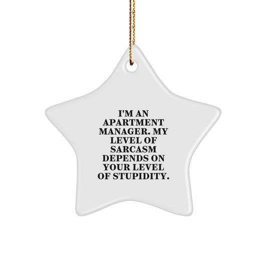 Funny Apartment Manager Gifts from Men for Apartment Manager - Star Ornament with Sarcasm Humor - Unique Christmas Decorations for Apartment Managers - Image 1