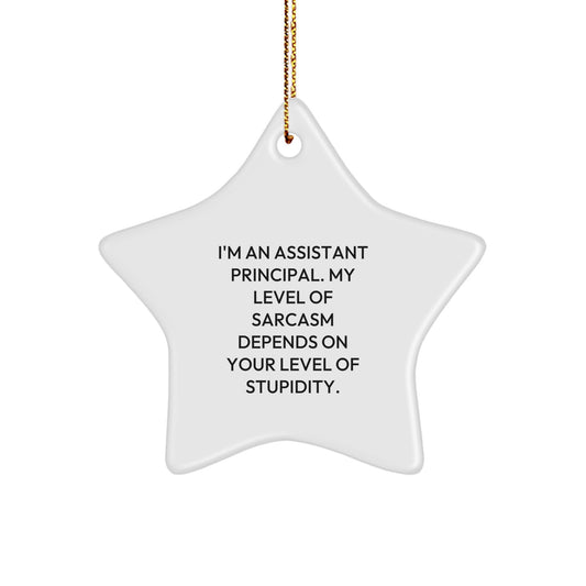 Funny Assistant Principal Gifts for Men, Women, Friends, Coworkers, Family - Star Ornament with 'I'm An Assistant Principal' Humor, Christmas Unique Gifts - Image 1