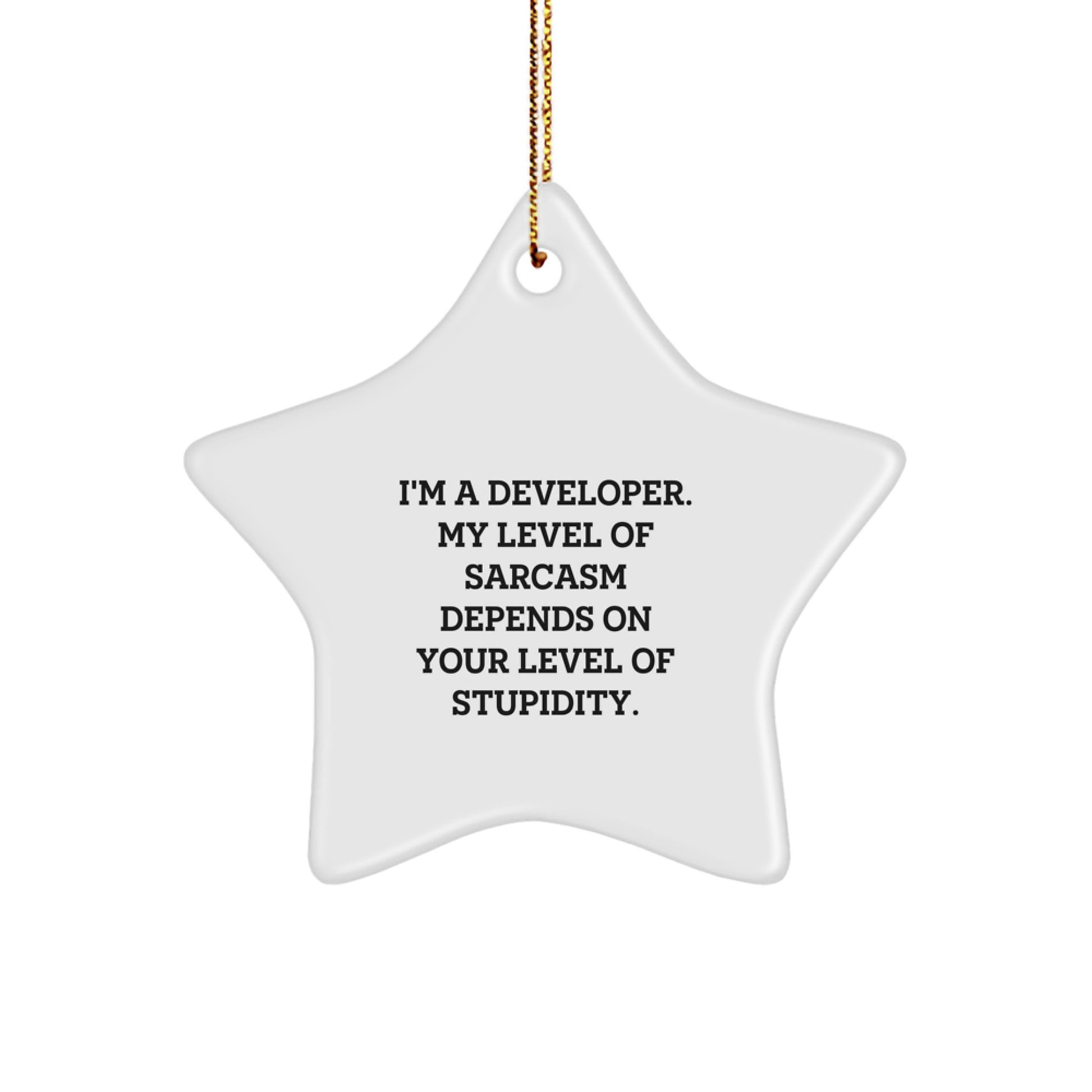Funny Developer Star Ornament Gifts from Friends for Christmas, 'I'm A Developer. My Level Of Sarcasm Depends On Your Level Of Stupidity.' - Image 1