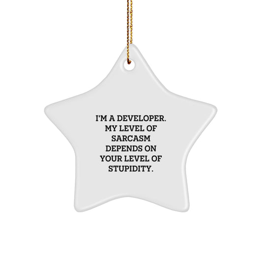 Funny Developer Star Ornament Gifts from Friends for Christmas, 'I'm A Developer. My Level Of Sarcasm Depends On Your Level Of Stupidity.' - Image 1