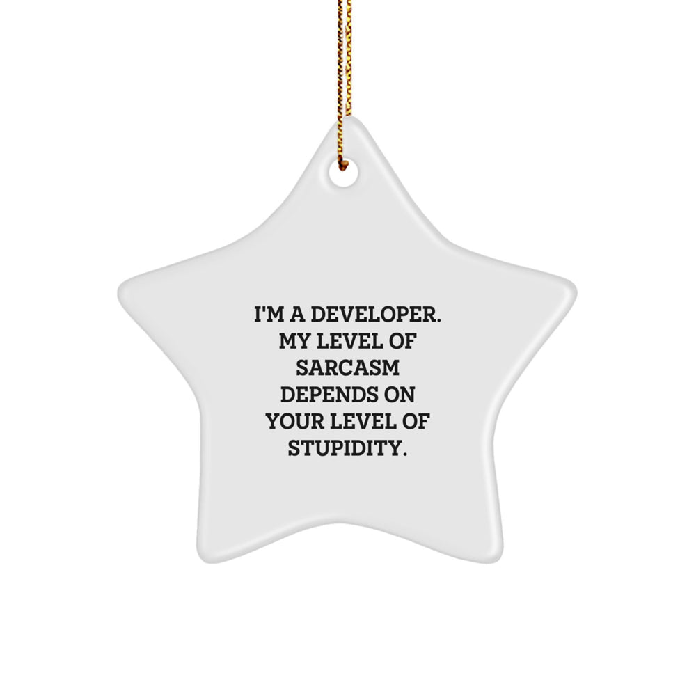 Funny Developer Star Ornament Gifts from Friends for Christmas, 'I'm A Developer. My Level Of Sarcasm Depends On Your Level Of Stupidity.' - Image 1