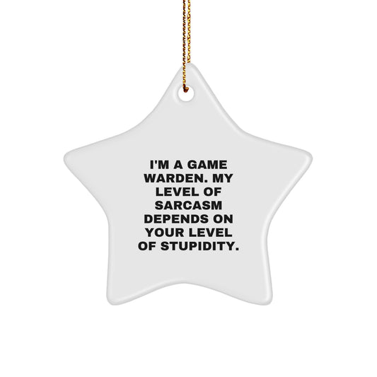 Funny Game Warden Gifts from Friends, Unique Christmas Unique Gifts for Game Wardens, Star Ornament with Sarcasm Quote - Image 1