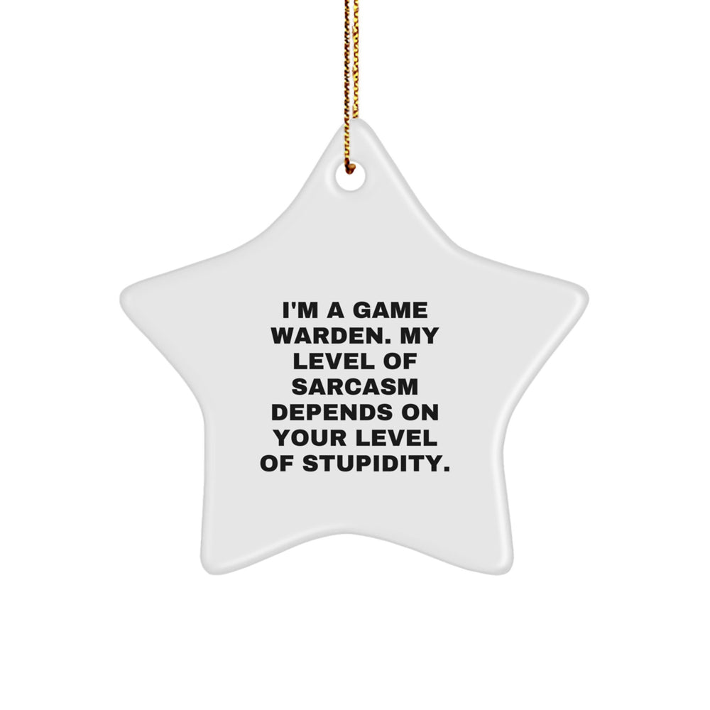 Funny Game Warden Gifts from Friends, Unique Christmas Unique Gifts for Game Wardens, Star Ornament with Sarcasm Quote - Image 1