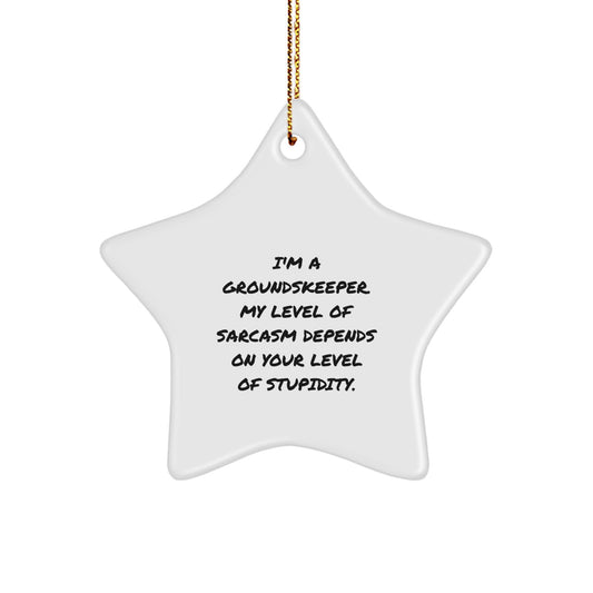 Funny groundskeeper Gifts from Men to groundskeeper Friends on Christmas Unique Decorations Star Ornament with Sarcasm Humor Quote - Image 1
